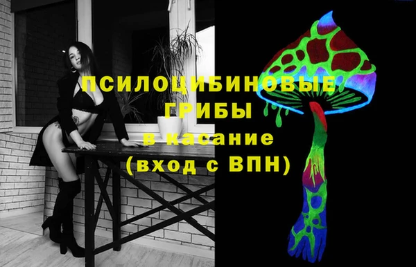 прущая мука Белокуриха